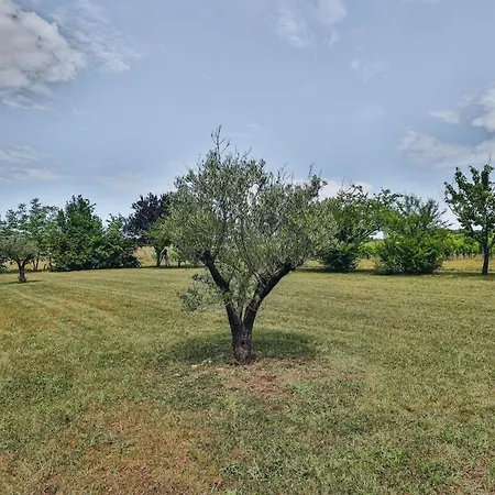 Domaine Grand Piquecaillou - Sainte-croix-du-monts Appartement Saint-Maixant (Gironde)